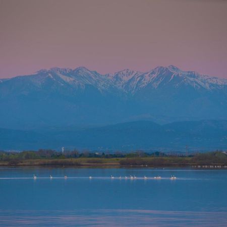 "Chill" Magnifique Vue Sur La Mer Et Le Port Au Coeur De La Ville En Premiere Ligne Canet-en-Roussillon Eksteriør bilde