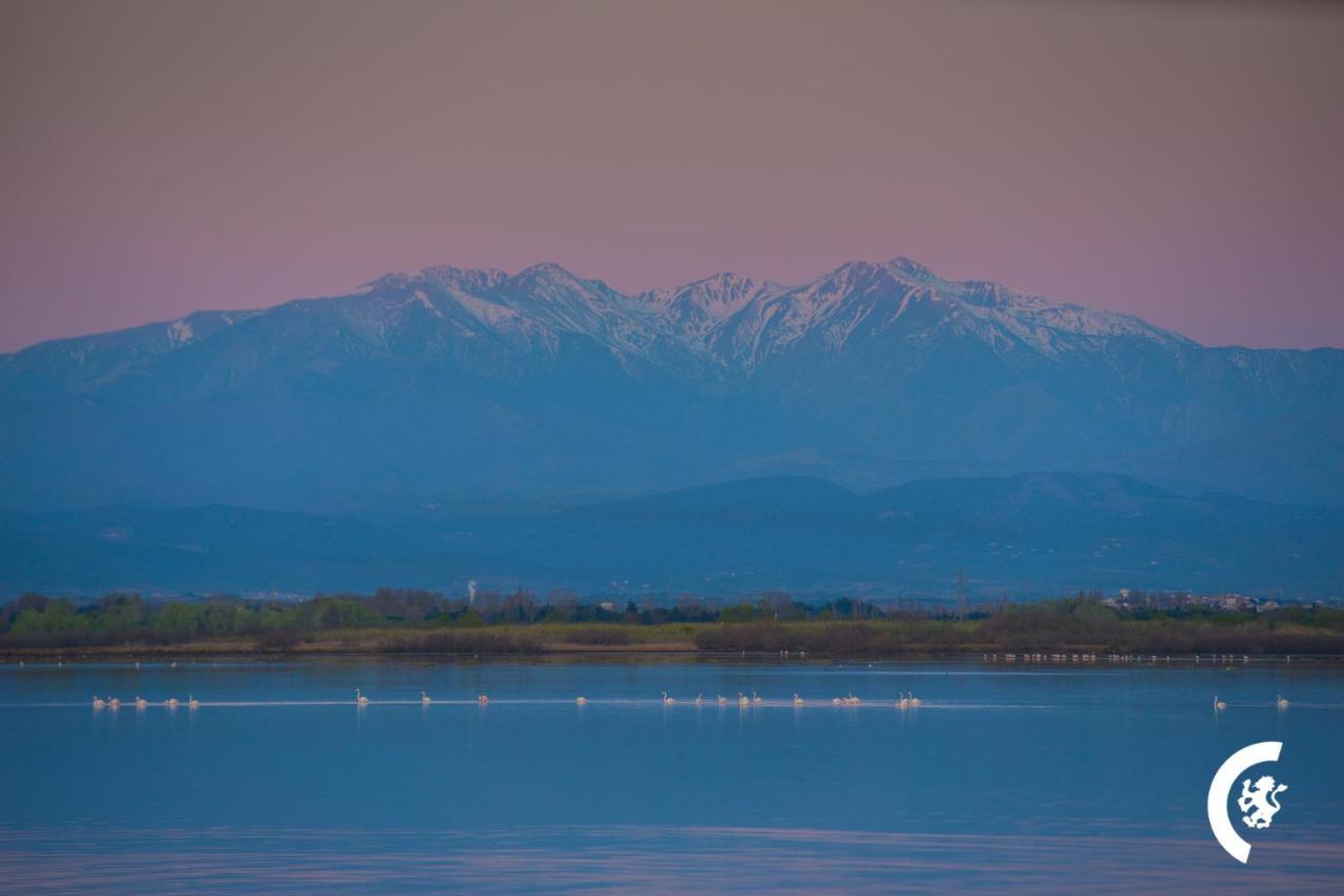 "Chill" Magnifique Vue Sur La Mer Et Le Port Au Coeur De La Ville En Premiere Ligne Canet-en-Roussillon Eksteriør bilde