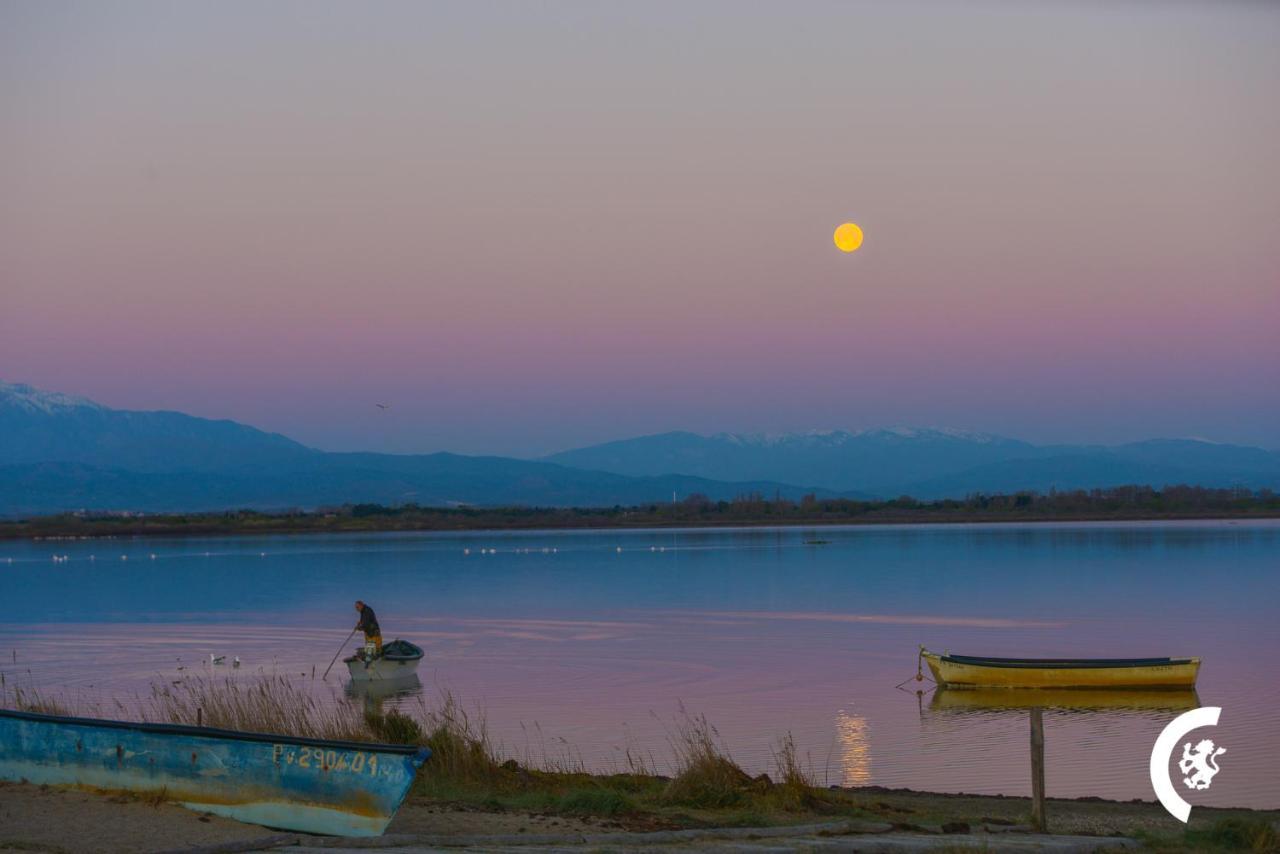 "Chill" Magnifique Vue Sur La Mer Et Le Port Au Coeur De La Ville En Premiere Ligne Canet-en-Roussillon Eksteriør bilde